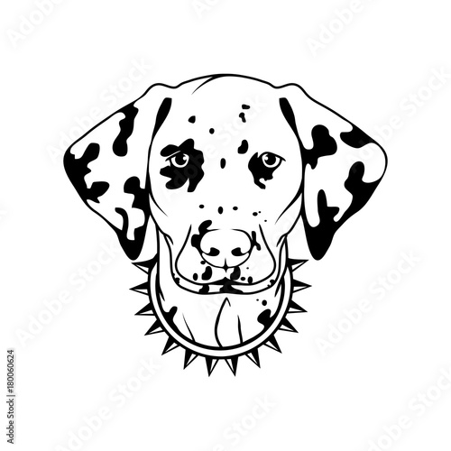 Dalmatian dog icon.Dog collection