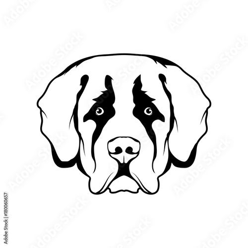 St. Bernard dog icon.Dog collection