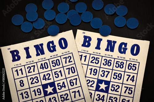 Two bingo cards, blue ink