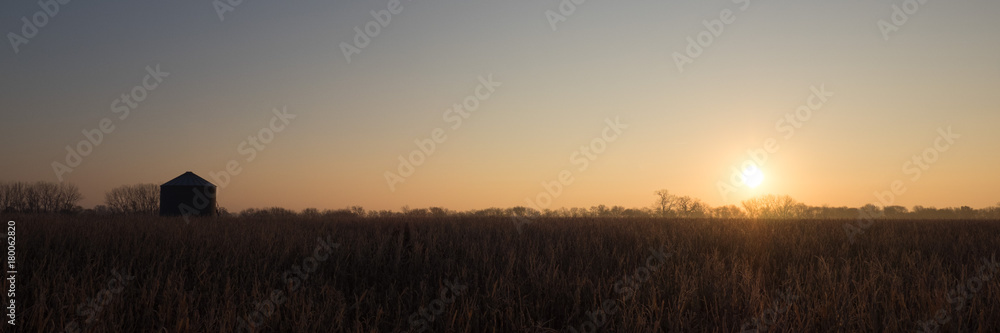 Sunrise over frost covered cornfield