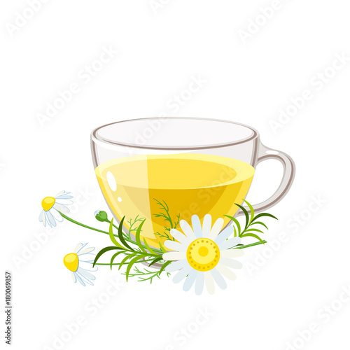 Cup of hot camomile tea and stem with leaves and flowers. Chamomile stem with leaves and flowers. Vector illustration cartoon flat icon isolated on white.