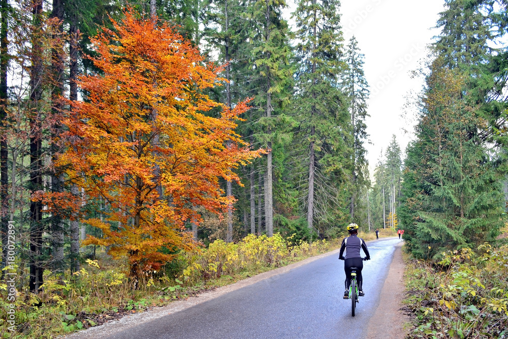 Woman riding bicycle in autumn forest