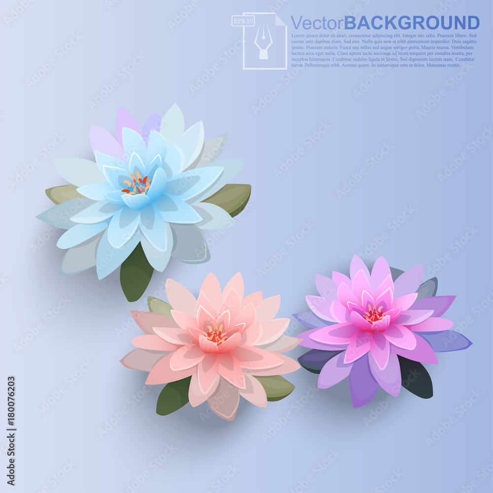 illustration of lotus flower illustration of lotus flower