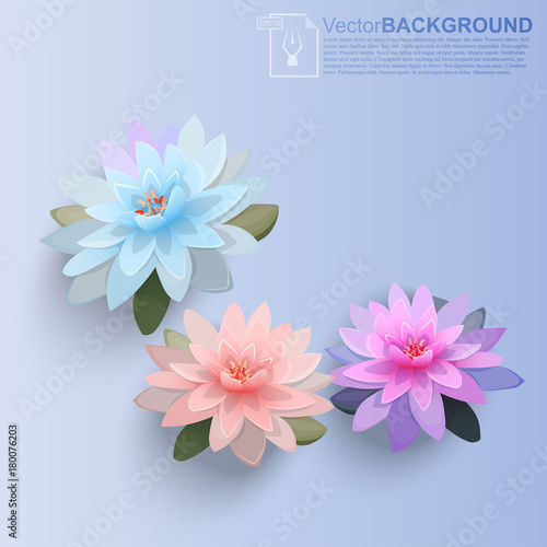 illustration of lotus flower