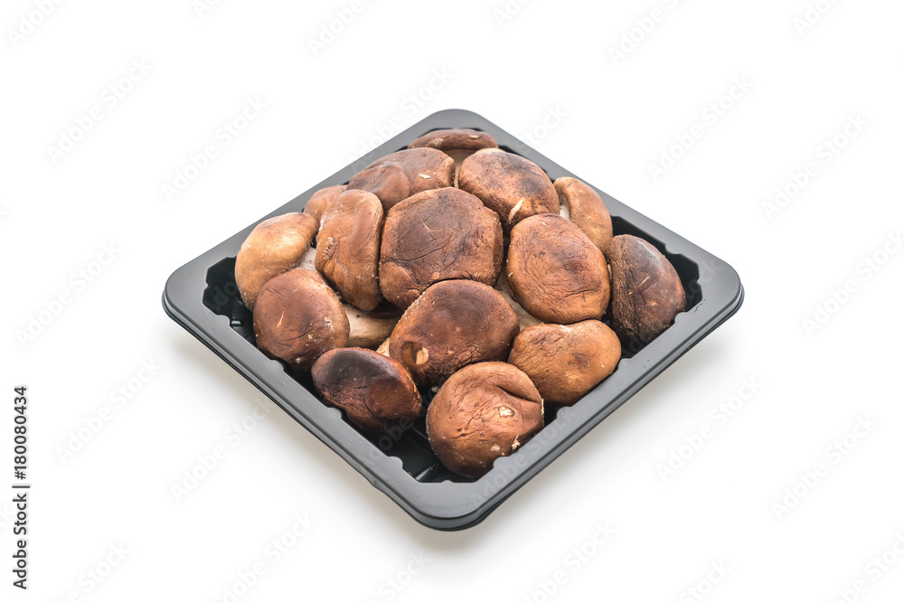 Fototapeta premium fresh shiitake mushroom