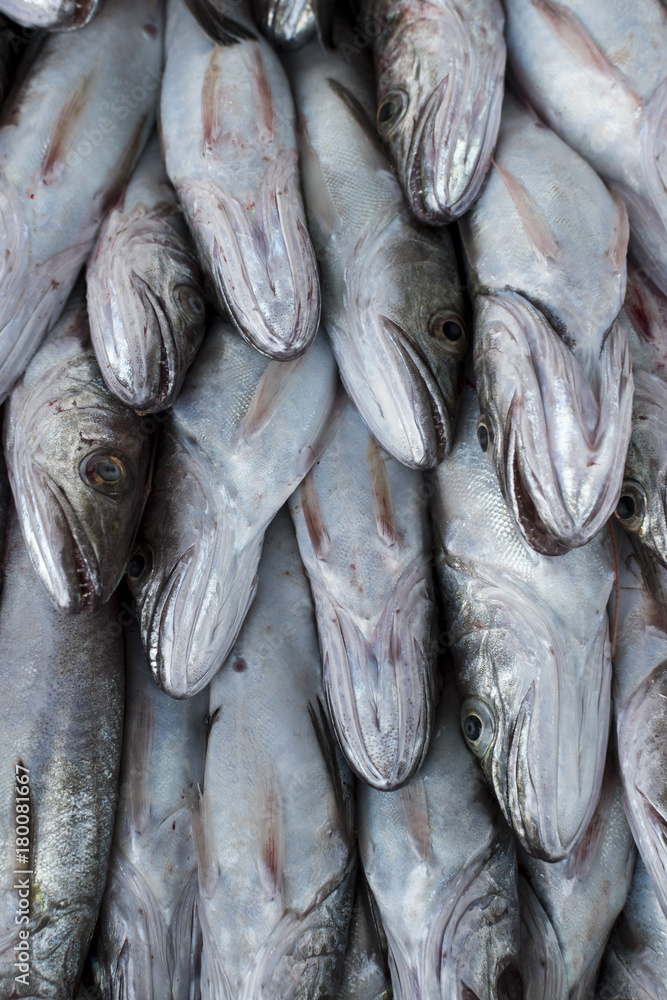 Obraz premium Fresh fish, shellfish, seafood in Cambrils Harbor Market, Catalonia, Spain.