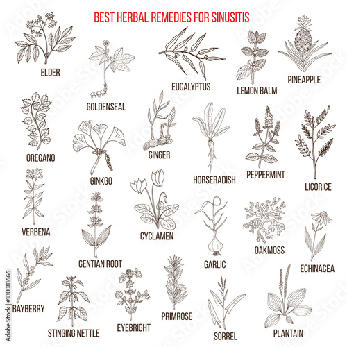 Best herbal remedies for sinusitis