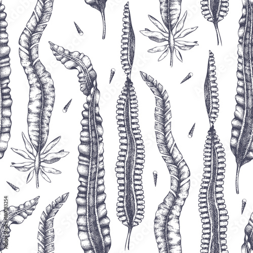 Ink hand drawn laminaria background. Vector illustration of highly detailed brown algae. Seaweedsseamless pattern