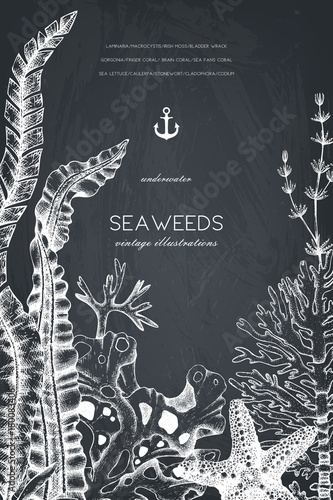 Vector frame with hand drawn sea corals, fish, stars sketch. Vintage background with underwater natural elements. Decorative sealife illustration on chalkboard. Wedding design.