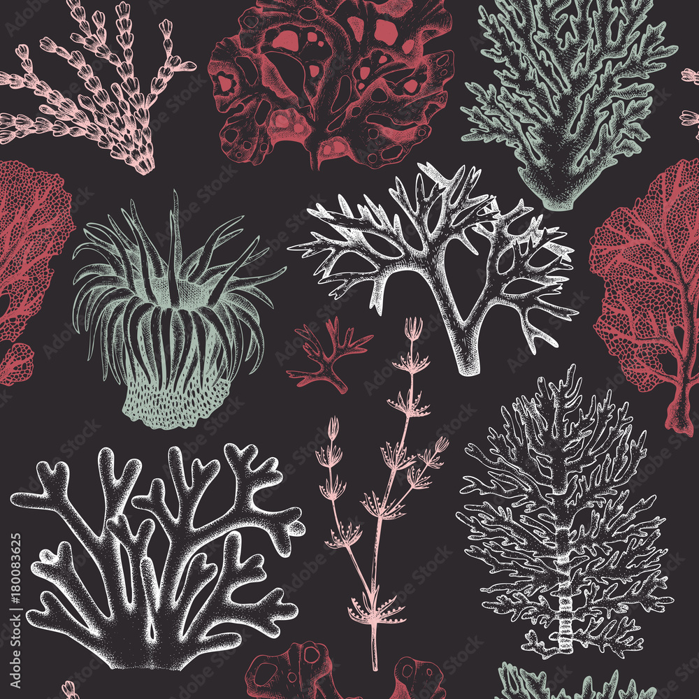 Obraz premium Seamless pattern with hand drawn seaweeds, corals , shells sketch. Vector background with underwater natural elements. Vintage sealife illustration.