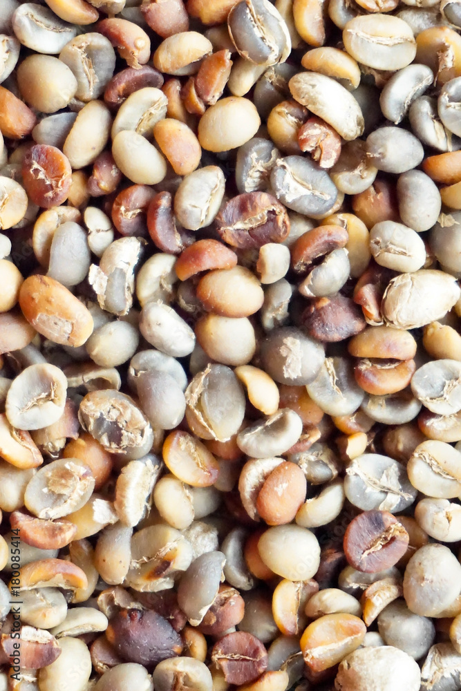Coffee beans Coffee beans