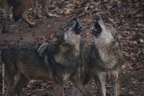 Processed with VSCO with e7 preset