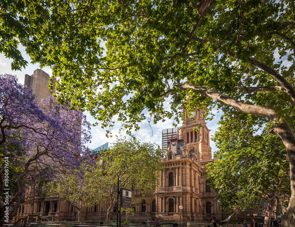 Charming Town Hall Square in spring, with fresh green leafy trees and the purple blooms of jacaranda, in Sydney, Australia