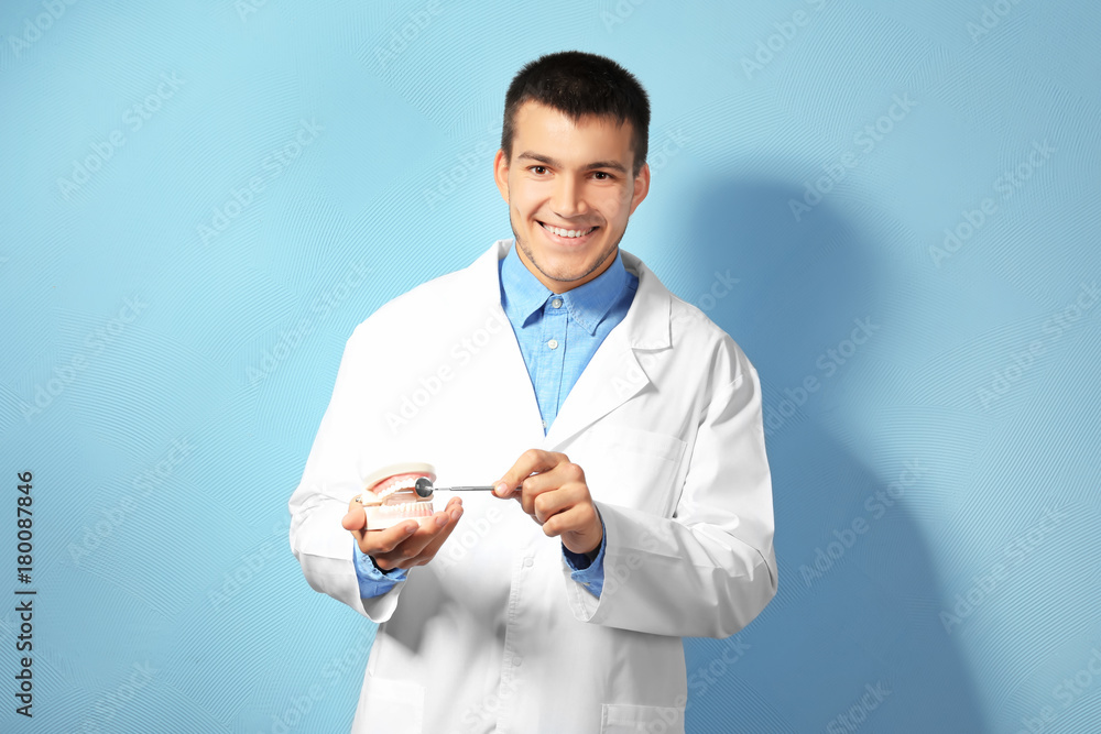 Young male dentist with jaw mockup against light color background Young male dentist with jaw mockup against light color background