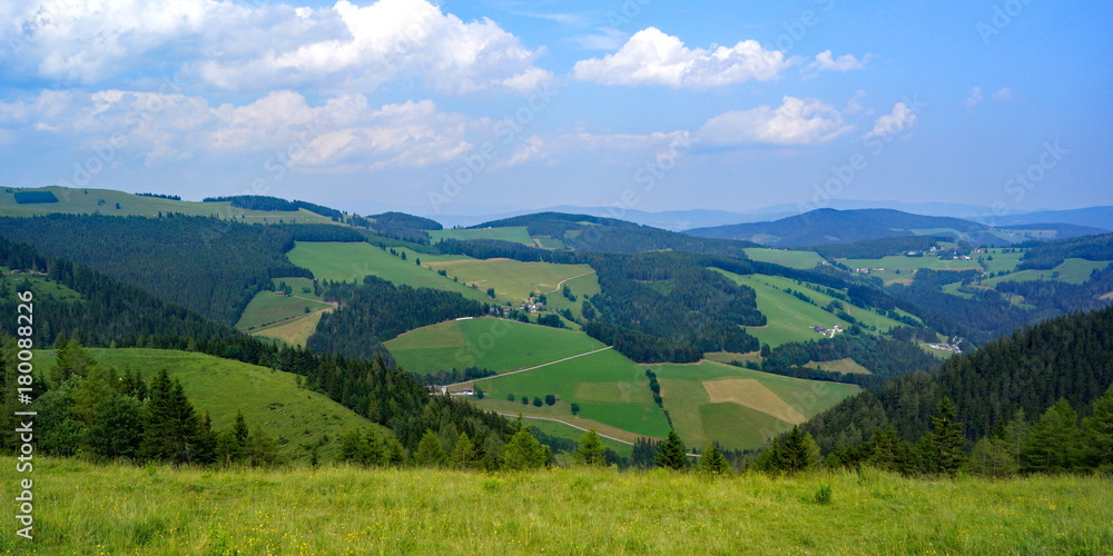 Fototapeta premium SOMMERALM mit Blick auf die Brandlucken ( Oststeiermark ) 