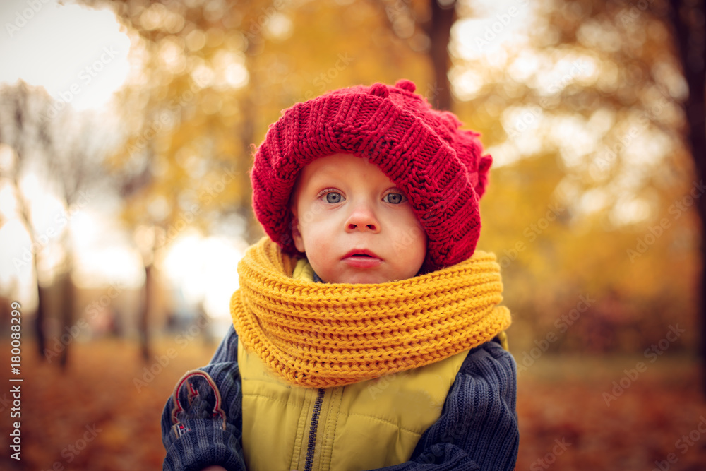 Little attractive baby playing in autumn park. Little attractive baby playing in autumn park.