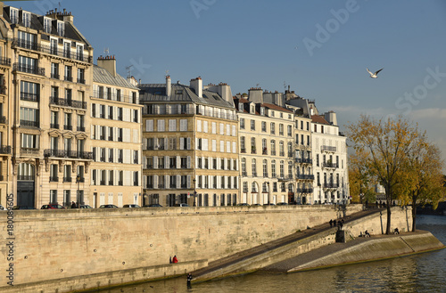 Quais de l'île de la Cité en automne à Paris, France © JFBRUNEAU