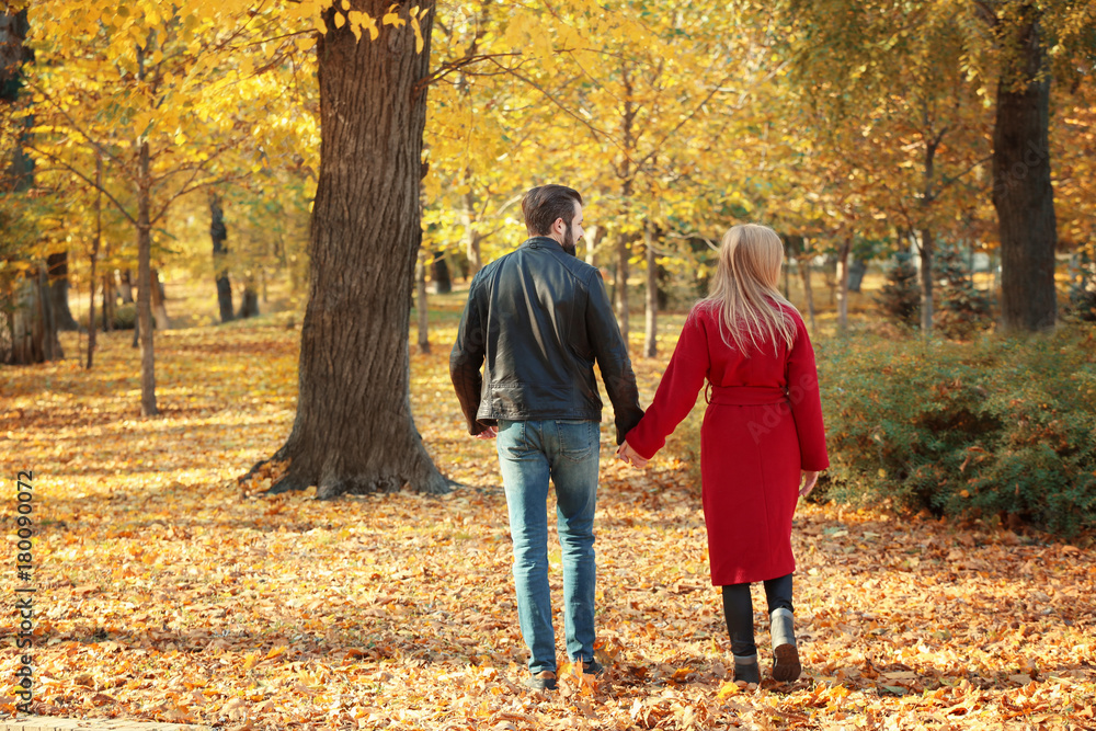Young couple walking in park on autumn day