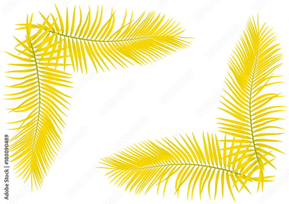 feuilles jaunes de palmier en coin de page 