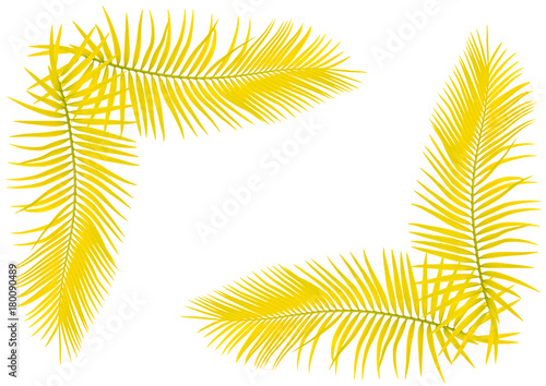 Fototapeta Naklejka Na Ścianę i Meble -   feuilles jaunes de palmier en coin de page 