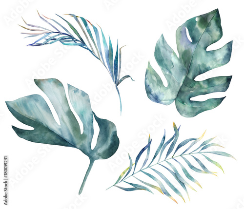 Watercolor tropical leaves on white background. Hand drawn set  illustration