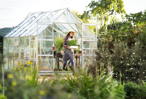 Obraz na plátně Young woman in the glass greenhouse