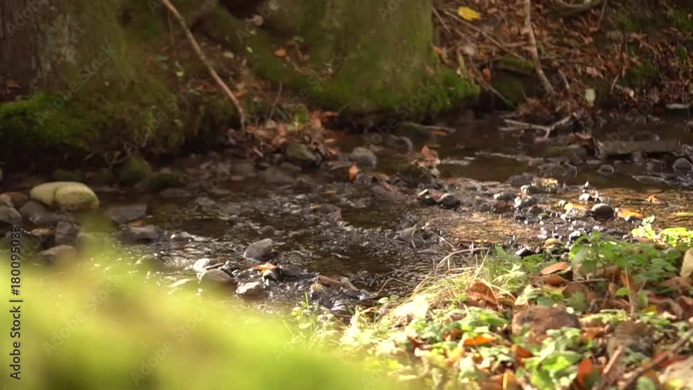 Kleiner Fluss im Herbstlicht mit Sonnenschein Kleiner Fluss im Herbstlicht mit Sonnenschein