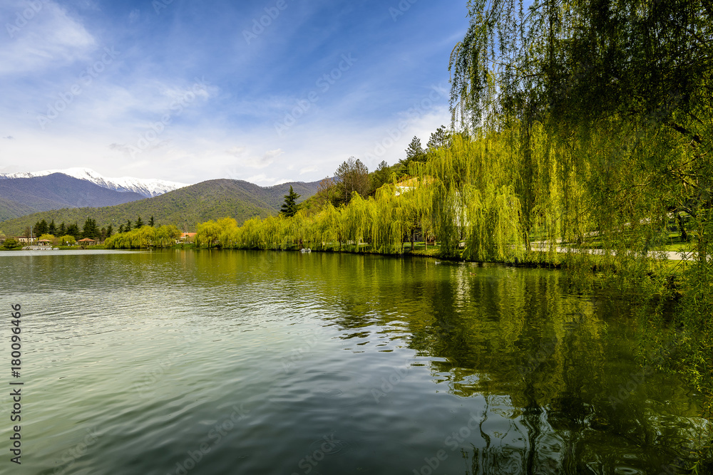 Rural lake landscape with wildlife, ducks and snow capped mountains in background with blue skies and clouds midst of fall foliage. 