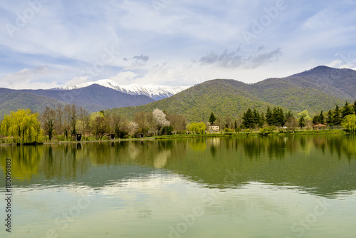 Rural lake landscape with wildlife, ducks and snow capped mountains in background with blue skies and clouds midst of fall foliage. 