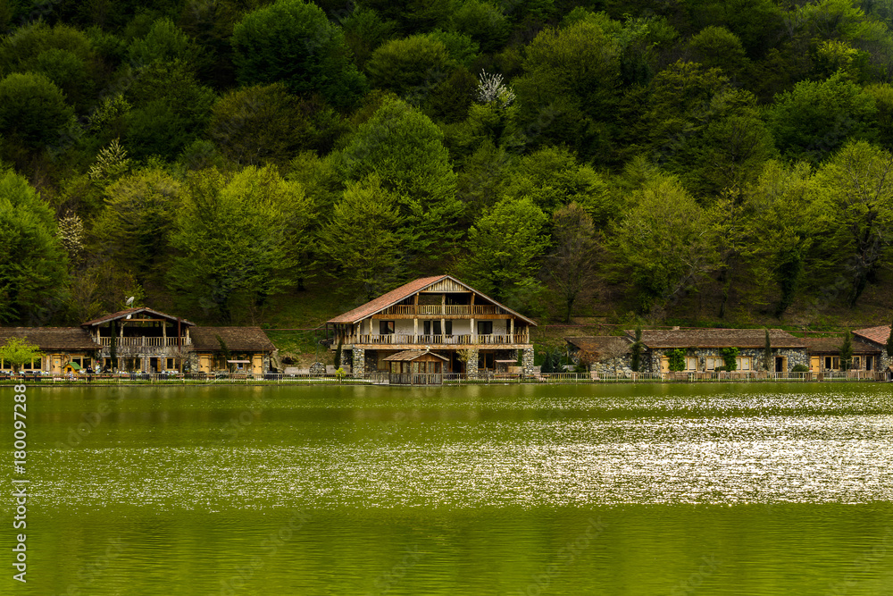 Obraz premium Rural lake landscape with wildlife, ducks and snow capped mountains in background with blue skies and clouds midst of fall foliage. 