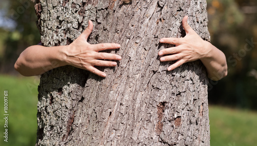 Zwei Hände umklammern einen Baum