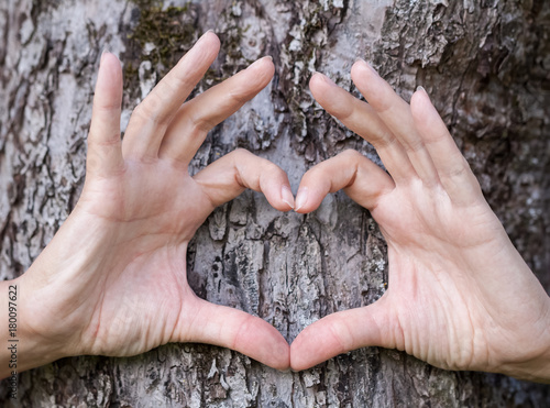 Ein Herz aus Händen geformt gezeichnet am Baum Umweltliebe Naturschutz
