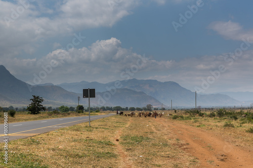 Fototapeta Naklejka Na Ścianę i Meble -  Die Usamabaraberge - Tansania