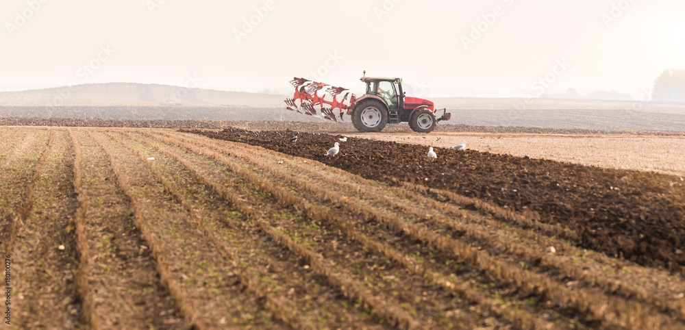 Fototapeta premium Tractor plowing fields -preparing land for sowing in autumn