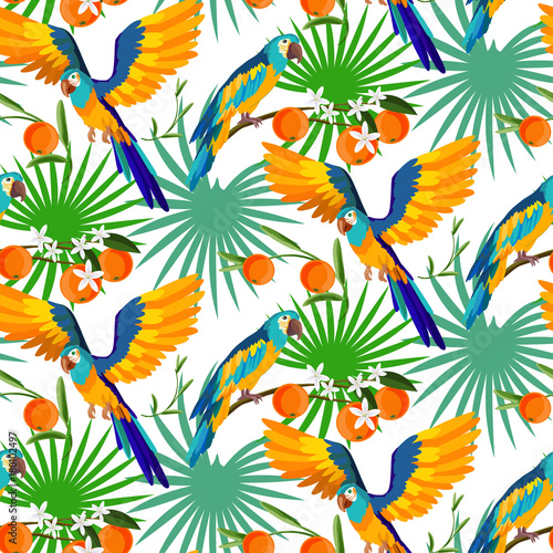 Tropical ara parrot with oranges fruits seamless pattern.