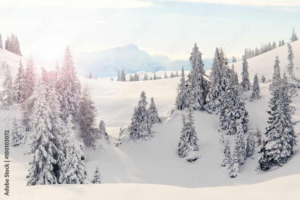 Fototapeta premium Traumhafte Winterlandschaft