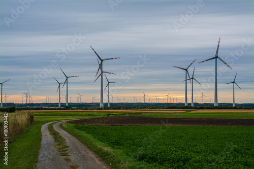 Wind farm in lower Austria in early in the morning, Austria, Europe