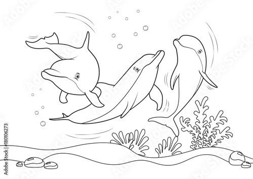 Dolphins on the sea, line illustration for coloring books