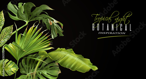 Tropical night horizontal banner