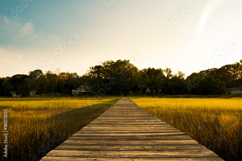wooden pier in south carolina low country marsh at sunset with green grass photo