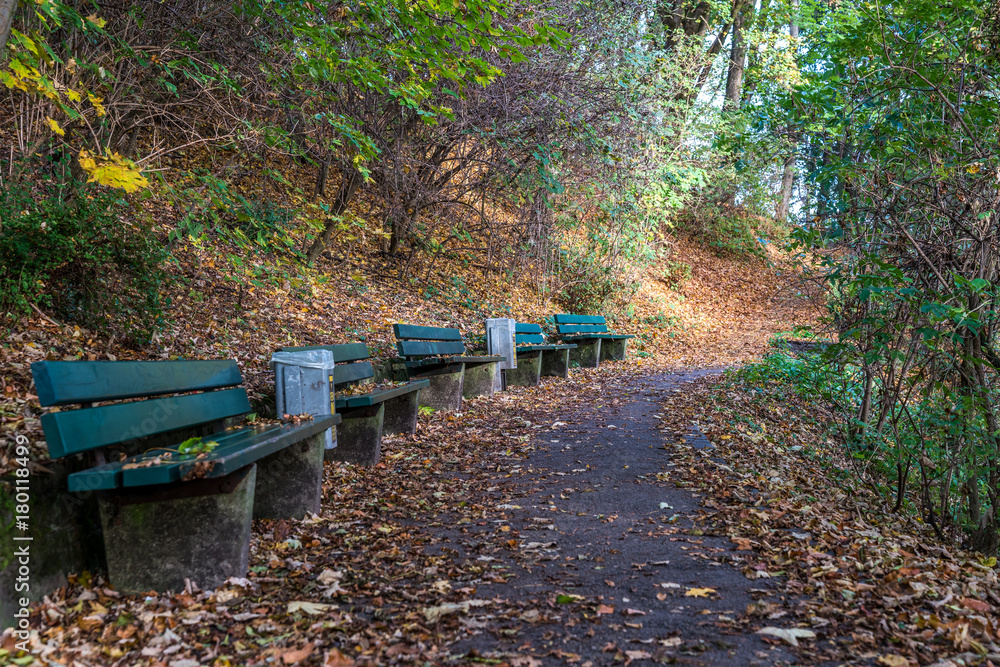Fototapeta premium München - Luitpoldpark