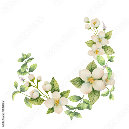 Watercolor vector wreath of flowers and branches Jasmine isolated on a white background. © ElenaMedvedeva