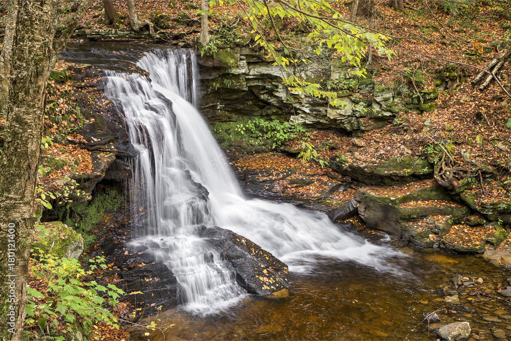 Fototapeta premium Autumn at Dry Run Falls in Loyalsock State Forest, Pennsylvania