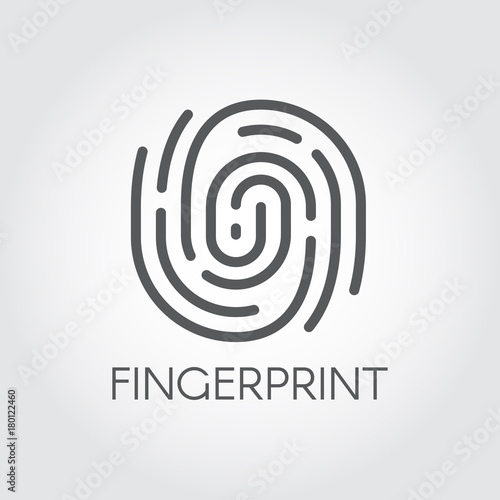 Fingerprint authentication and registration linear icon. Imprint of human finger. Symbol of identification and verification. Black contour abstract signature. Unique user mark. Vector illustration
