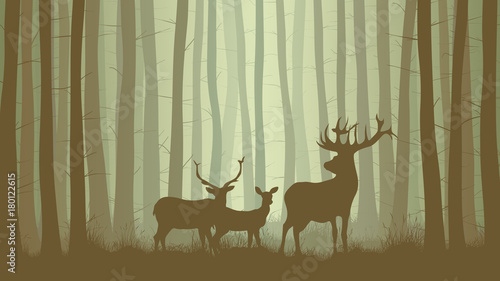 Horizontal illustration of misty coniferous forest with family deer.