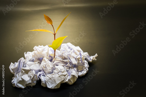 little plant grow up on Crumpled paper i