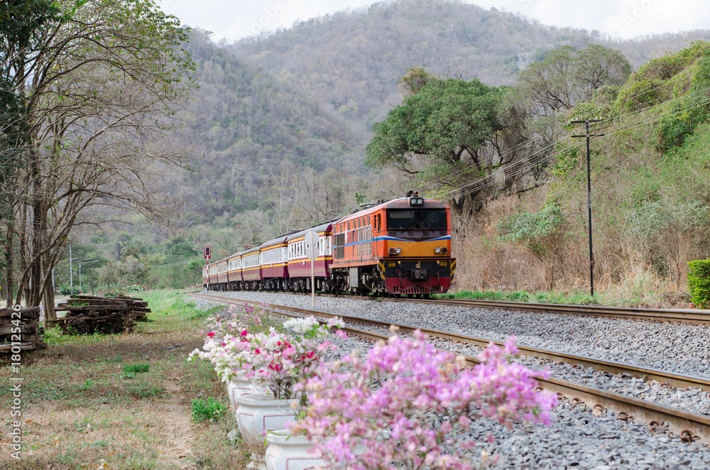 Intercity train passing the countryside.