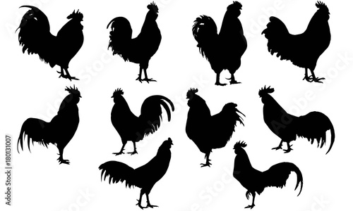 Rooster Silhouette Vector Graphics