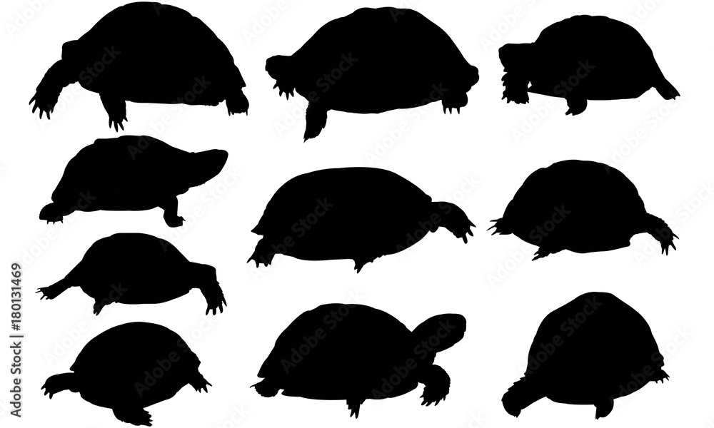 Tortoise Silhouette Vector Graphics Stock Vector | Adobe Stock