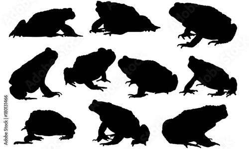Toad Silhouette Vector Graphics